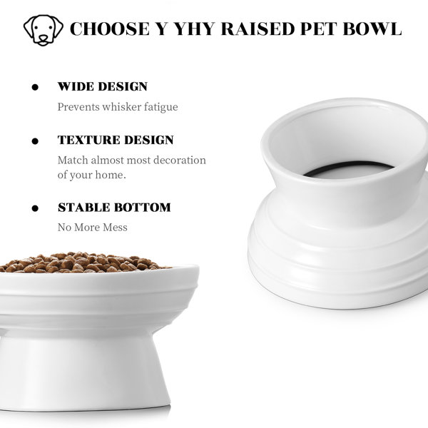 Y YHY Elevated Dog Bowl & Reviews Wayfair